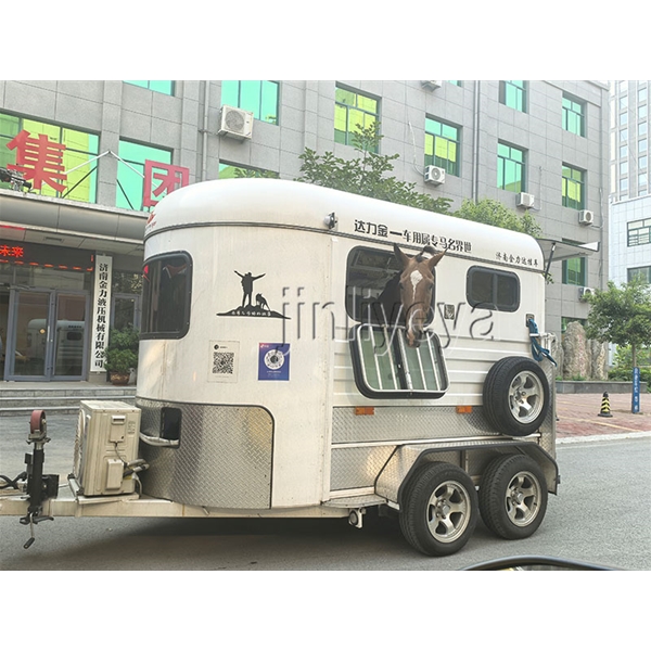 甘肃运马车
