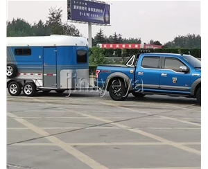 甘肃两马方头车